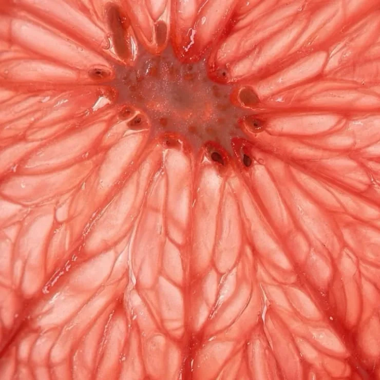 Bloodwork panel